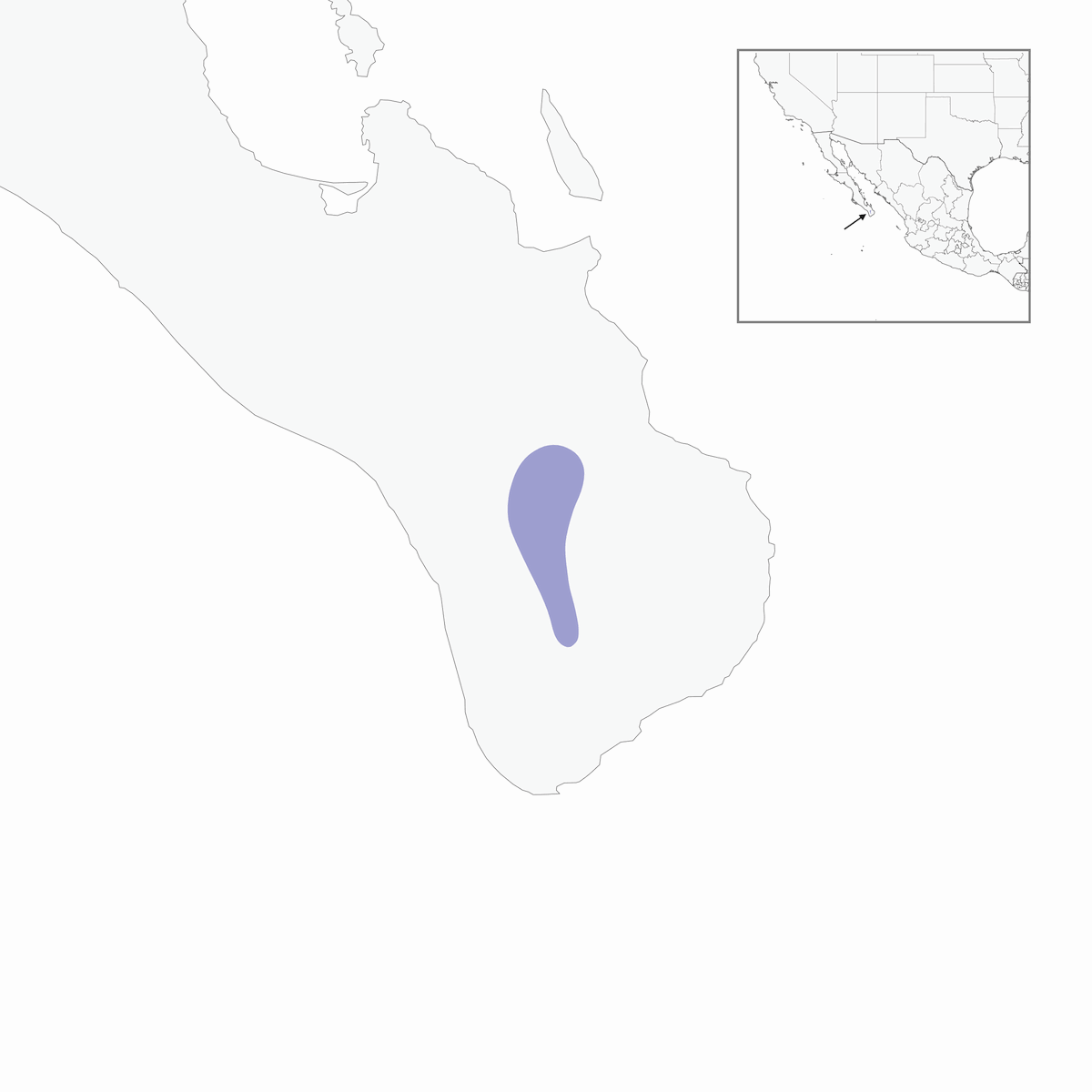 Junco occhigialli, Distribuzione 1
