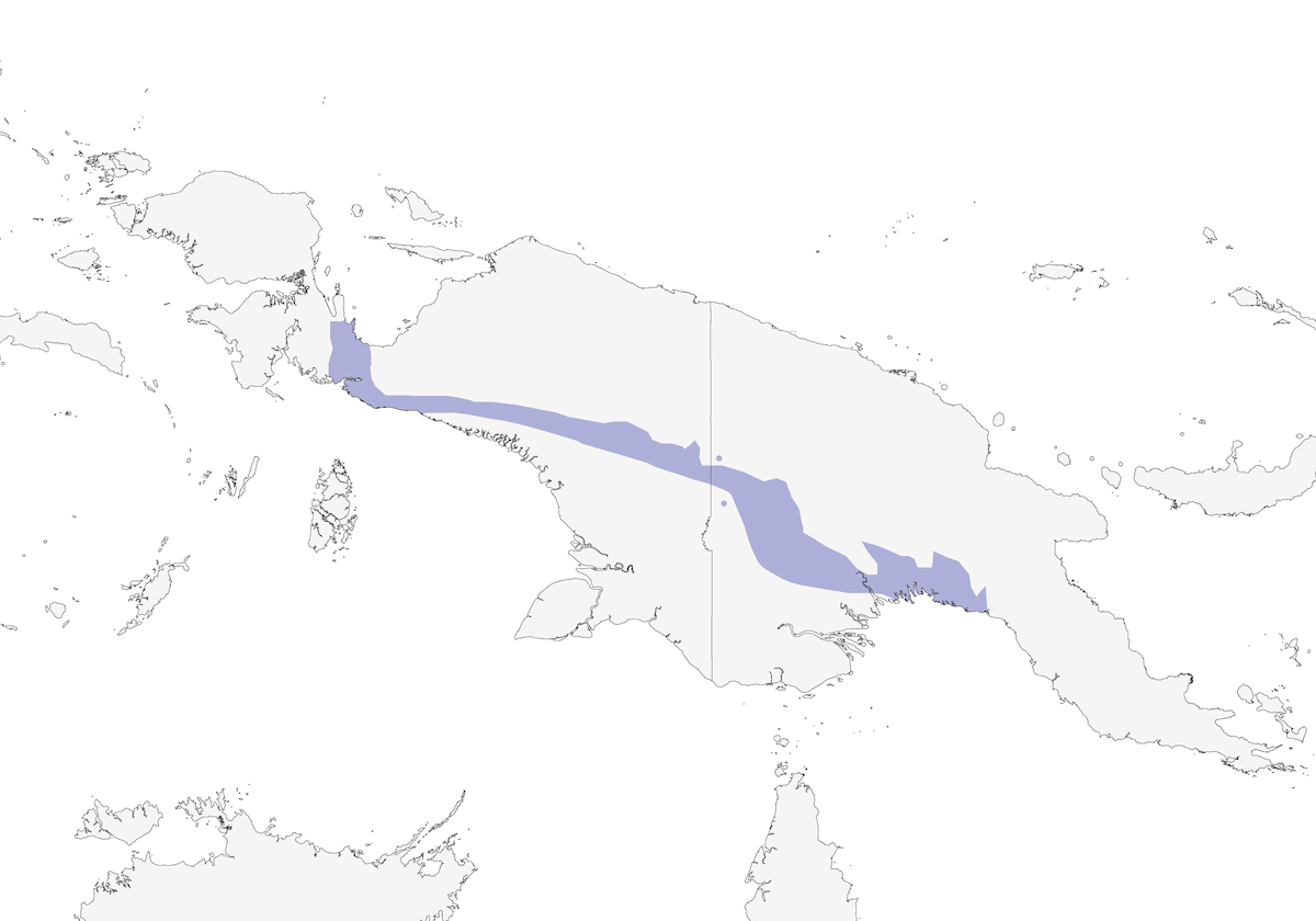 Estornino Ojiamarillo, Distribución 1