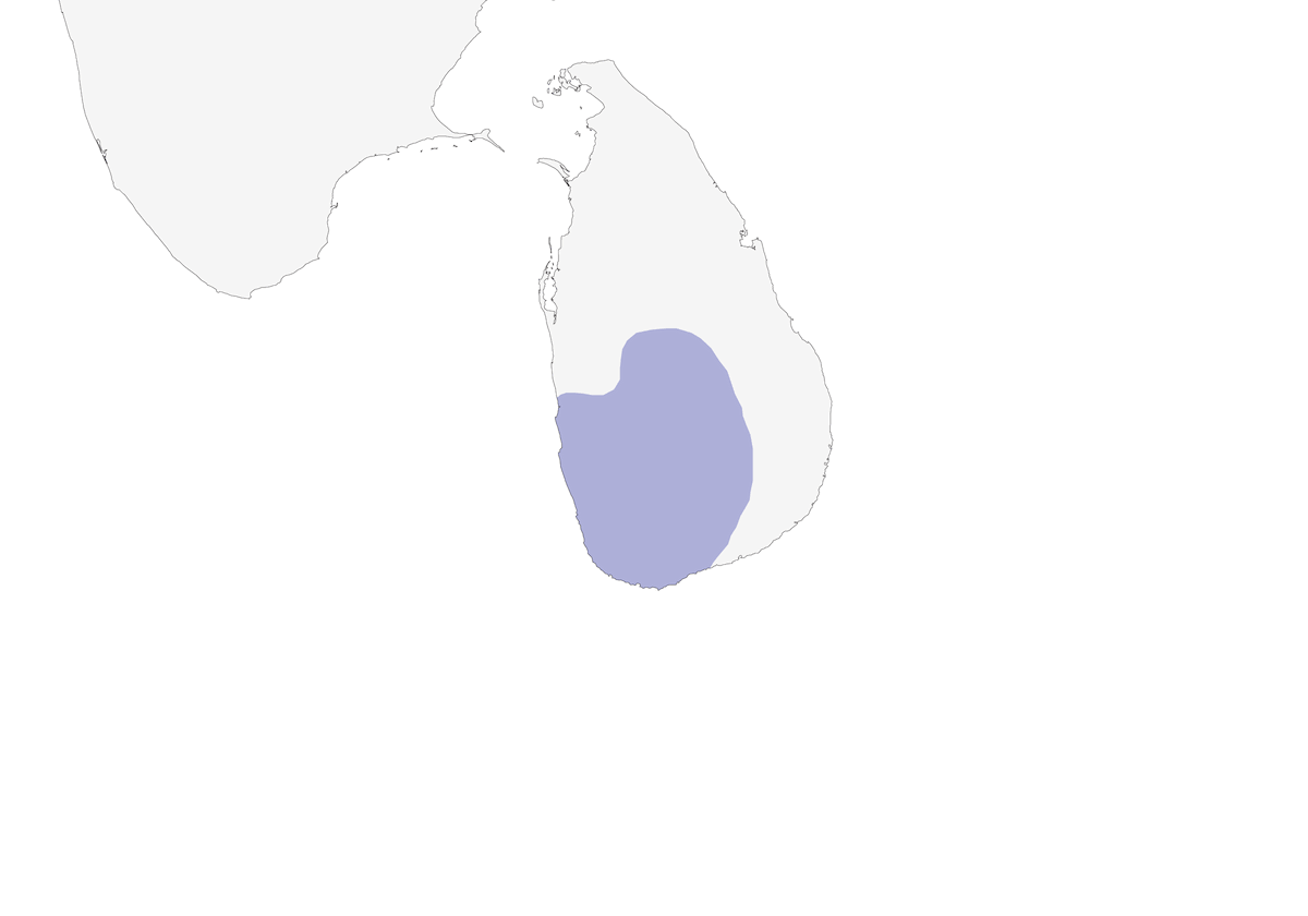 Yellow-fronted Barbet, Distribution 1