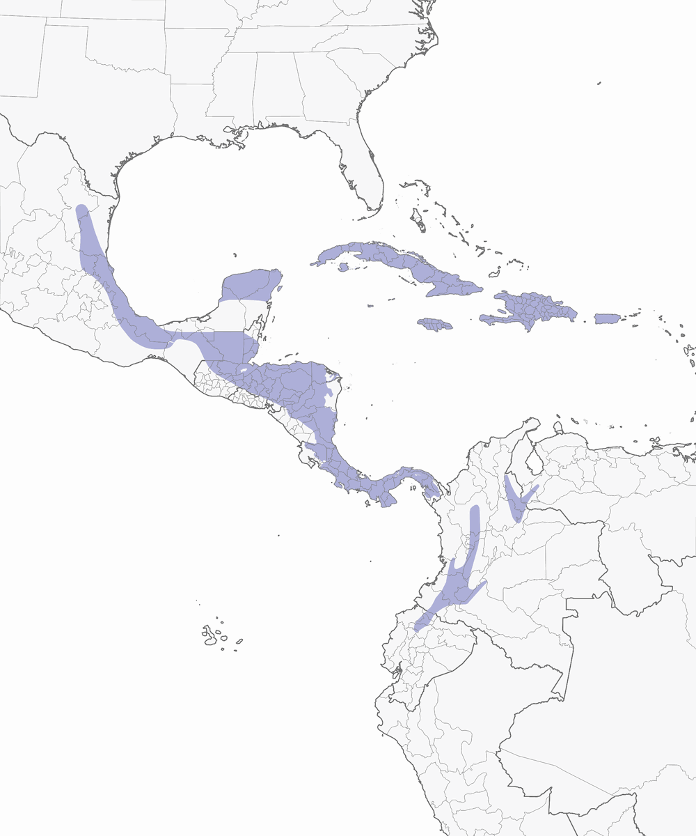 Yellow-faced Grassquit, Distribution 1