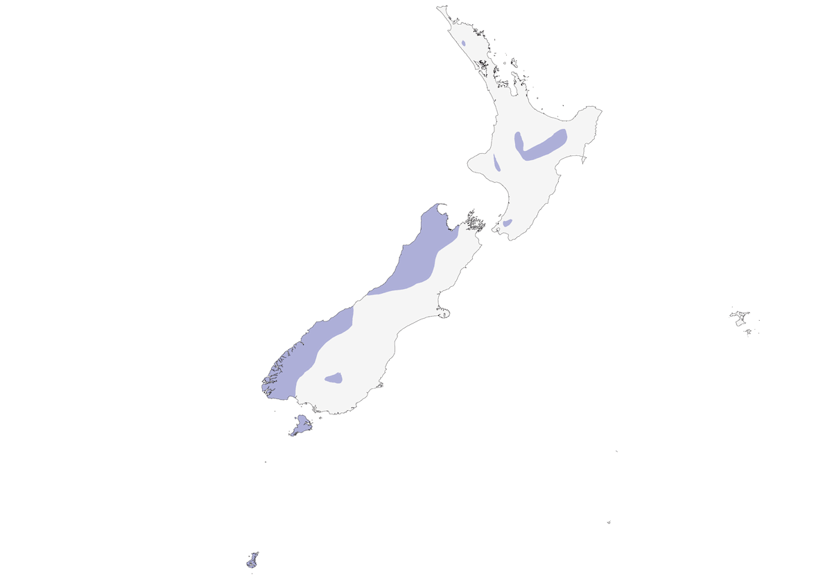 Kakariki à tête jaune, Distribution 1