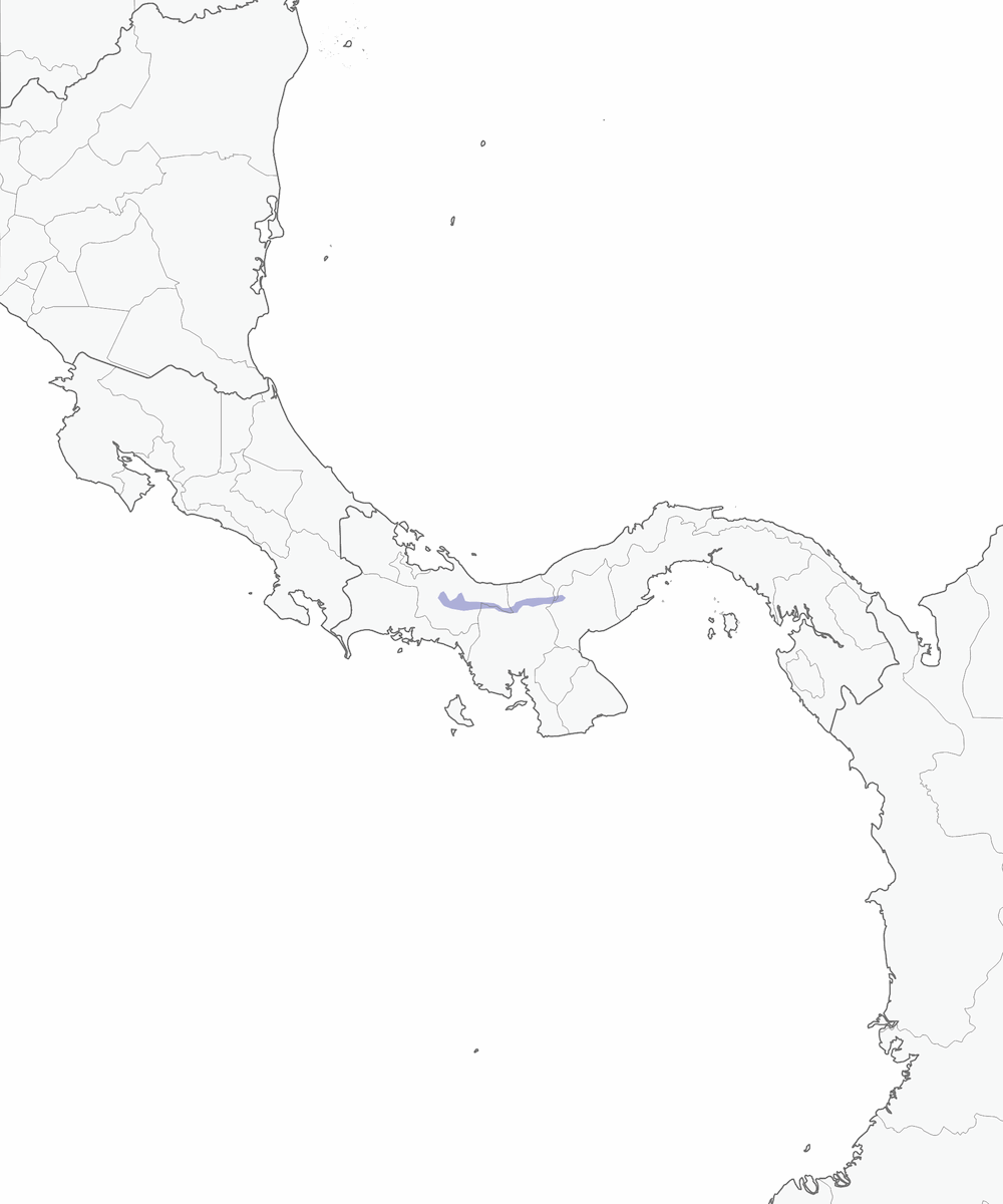 Atlapetes Verdiamarillo, Distribución 1