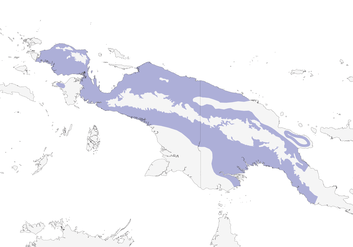 Melifago dal becco giallo, Distribuzione 1