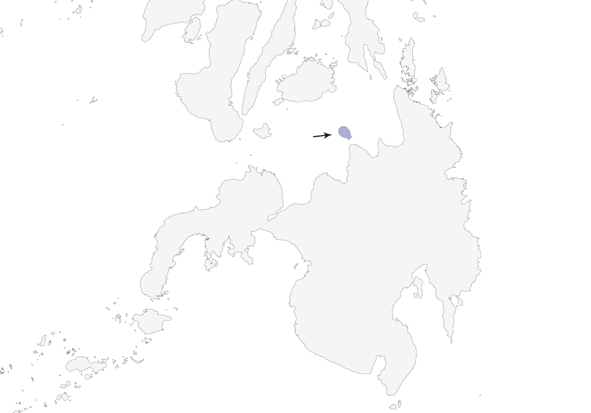 Bulbul di Camiguin, Distribuzione 1