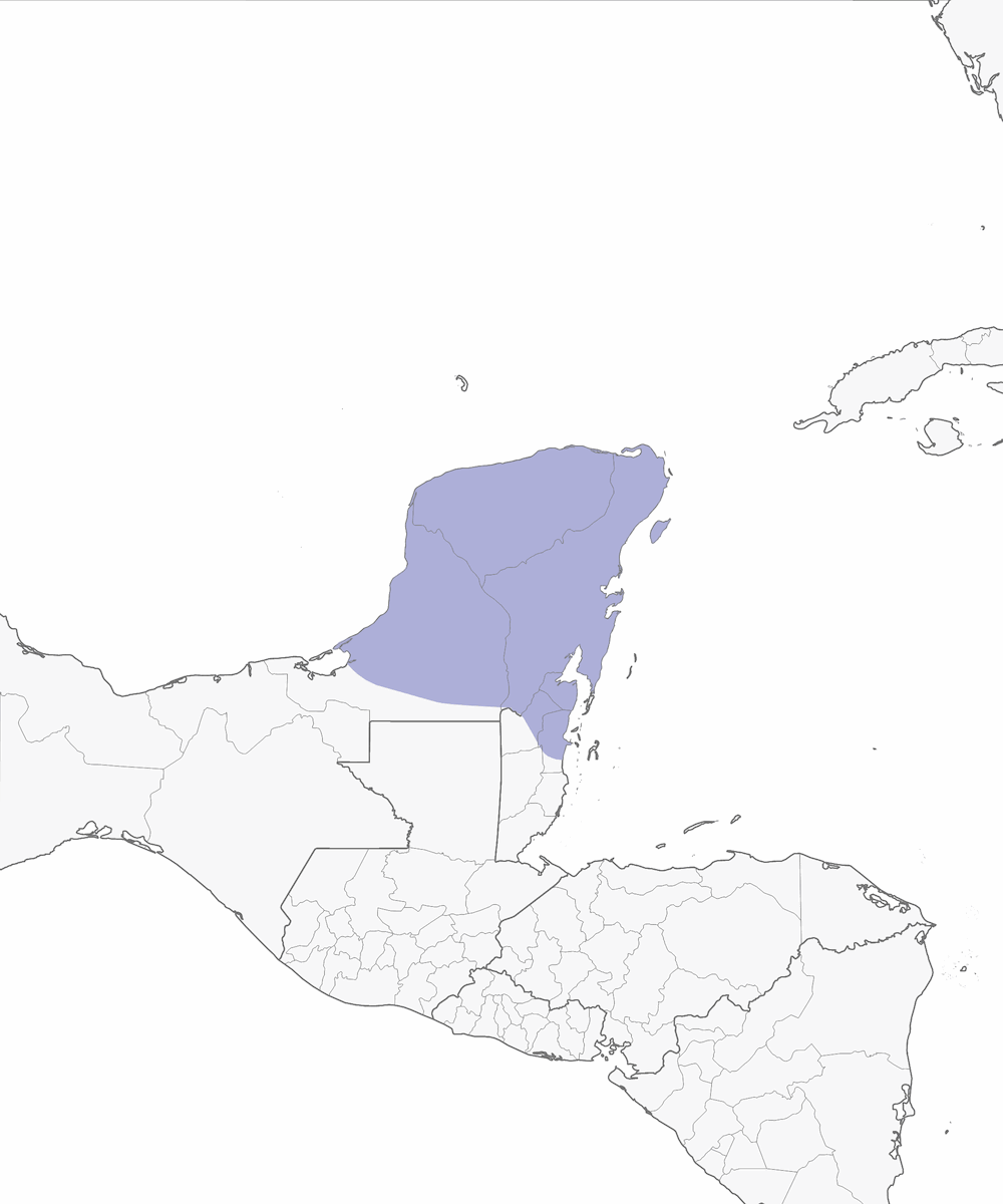 Yellow-lored Amazon, Distribution 1