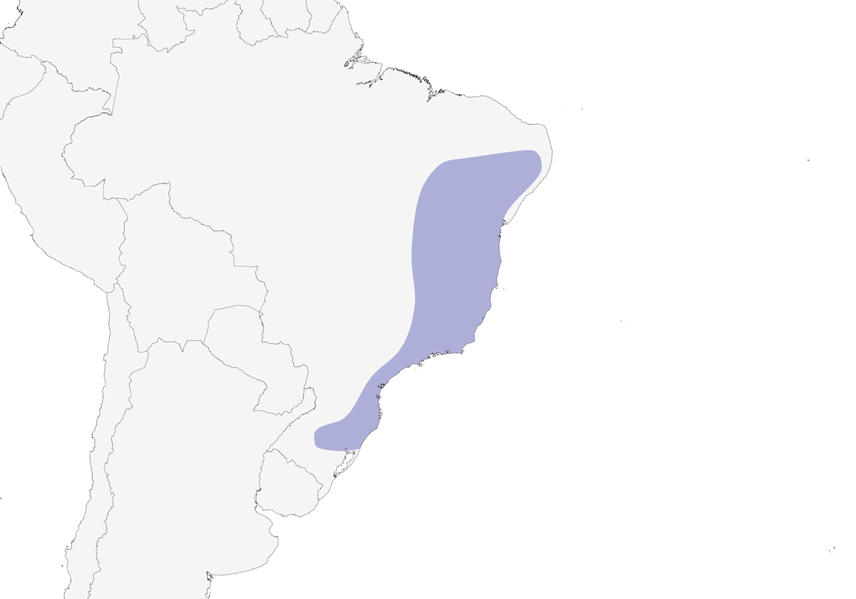 Yellow-legged Tinamou, Distribution 1