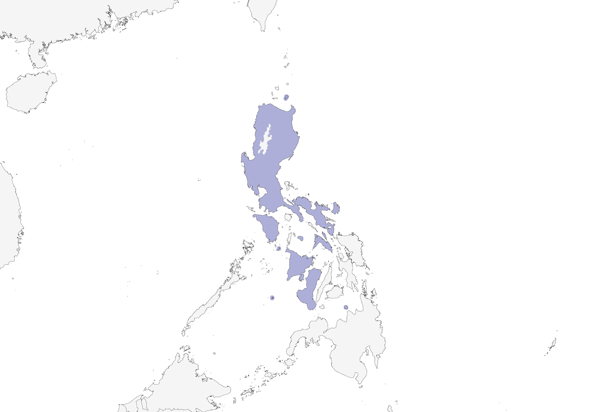 Yellowish White-eye, Distribution 1