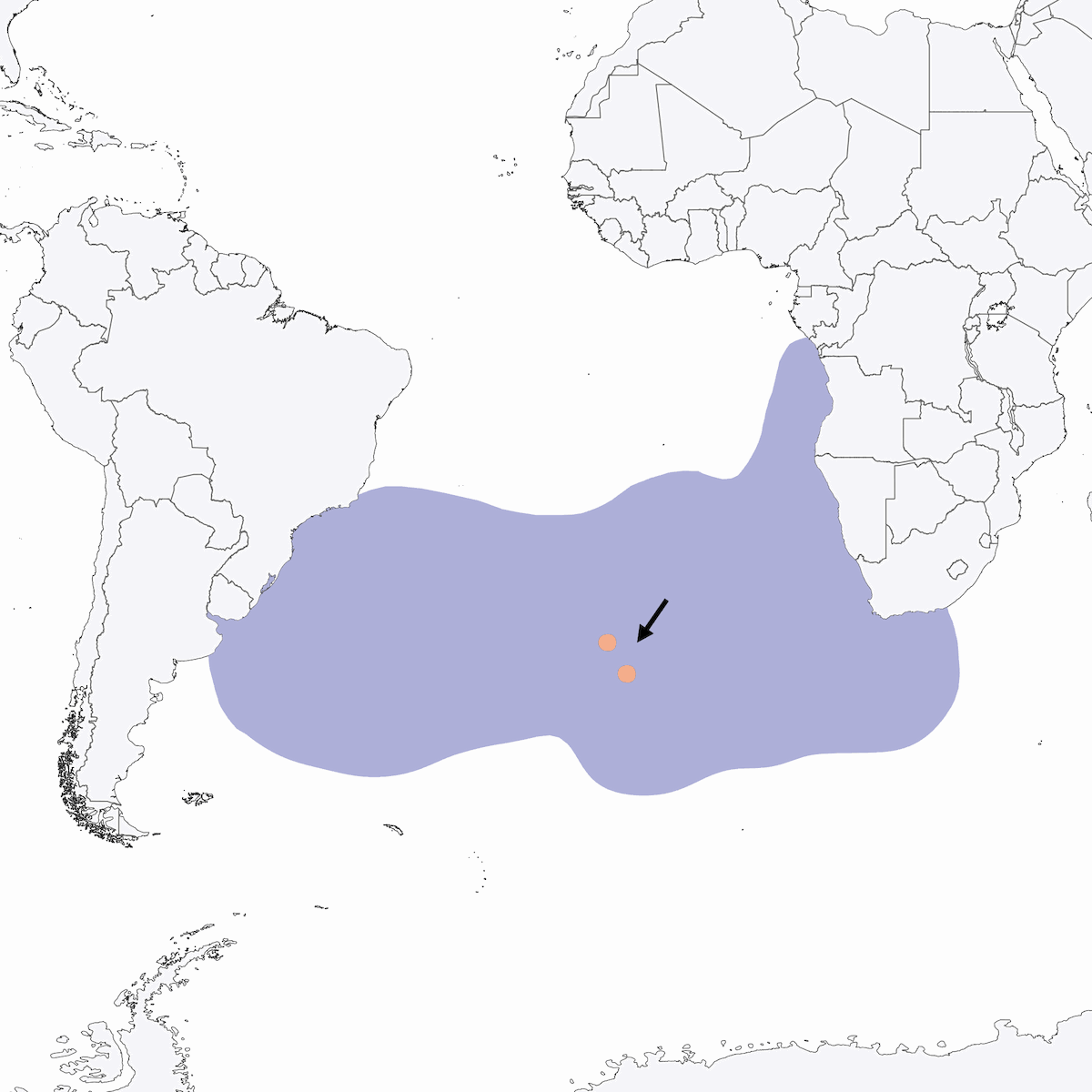 Atlantic Yellow-nosed Albatross, Distribution 1