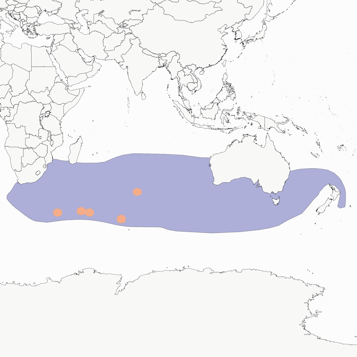 Albatros picofino indio, Distribución 1