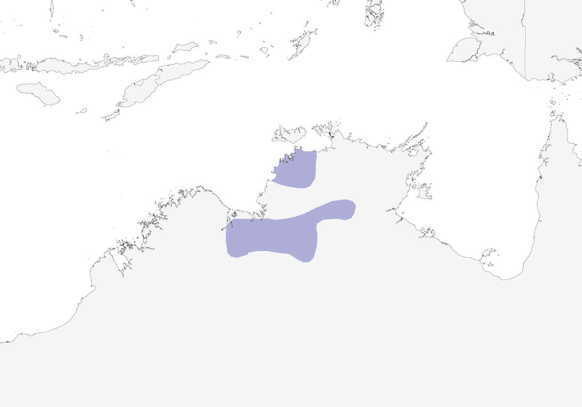 Munìa codagialla, Distribuzione 1