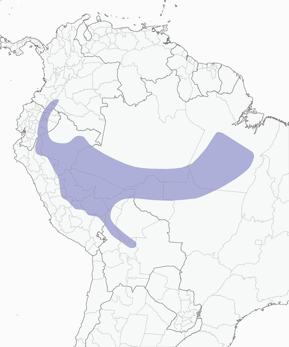 Yellow-shouldered Grosbeak, Distribution 1