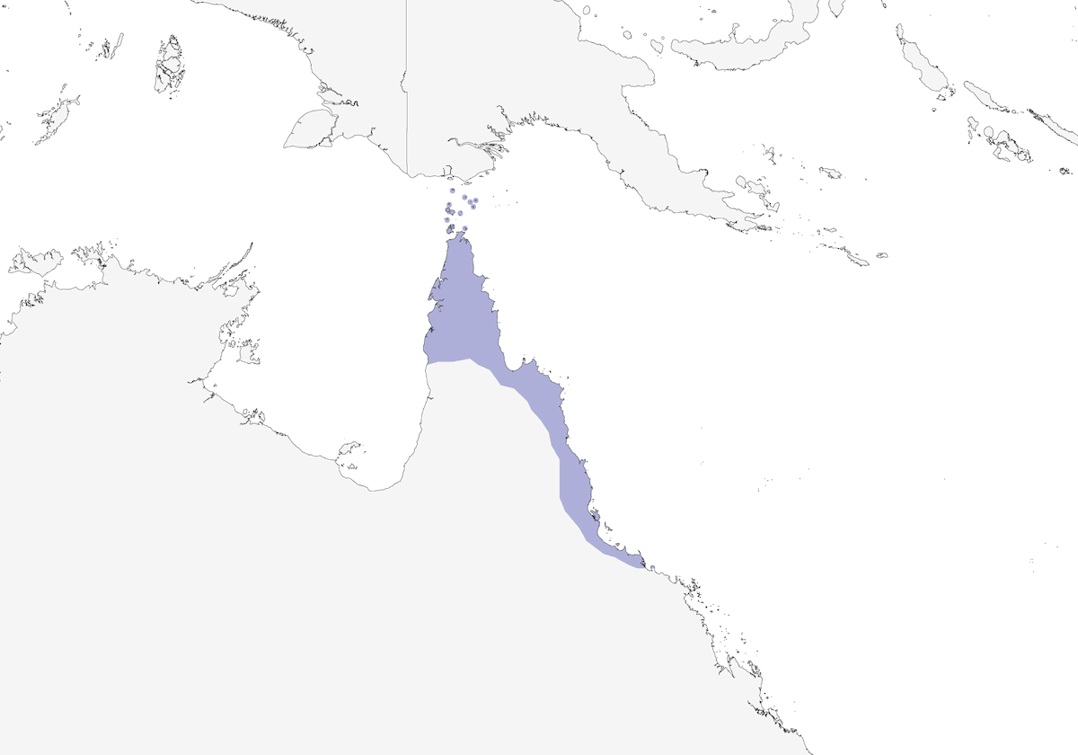 Yellow-spotted Honeyeater, Distribution 1