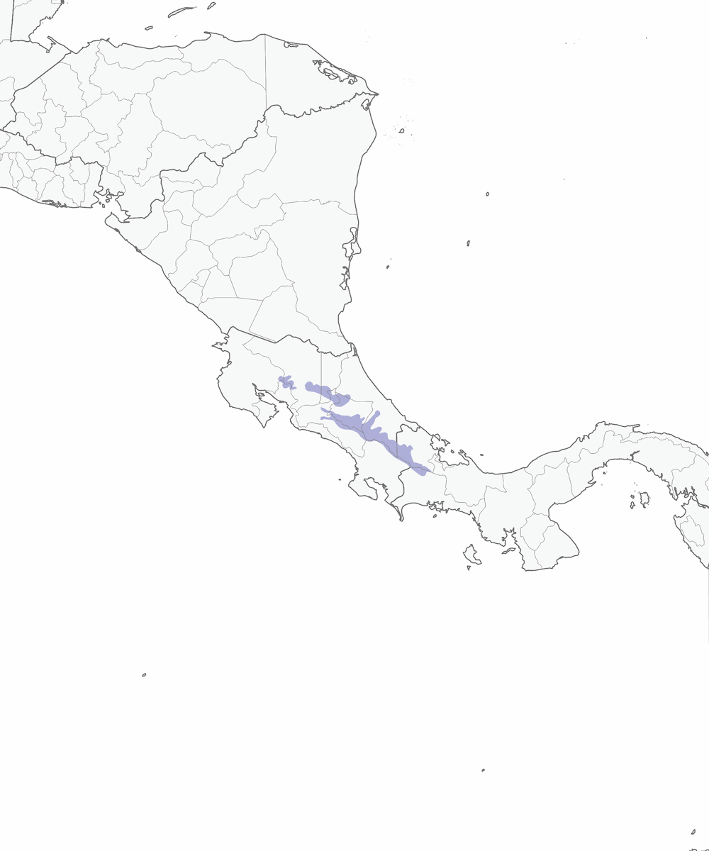Fringuello dei cespugli coscia gialla, Distribuzione 1