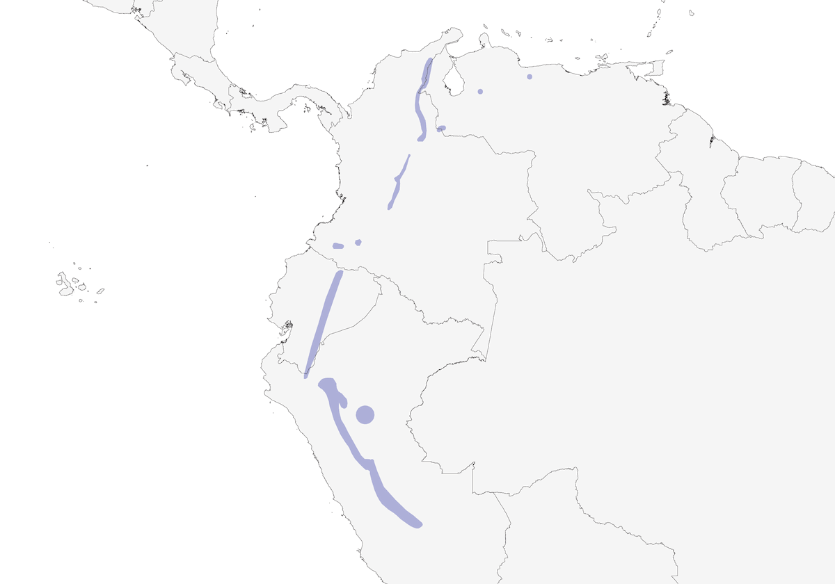 Yellow-throated Spadebill, Distribution 1