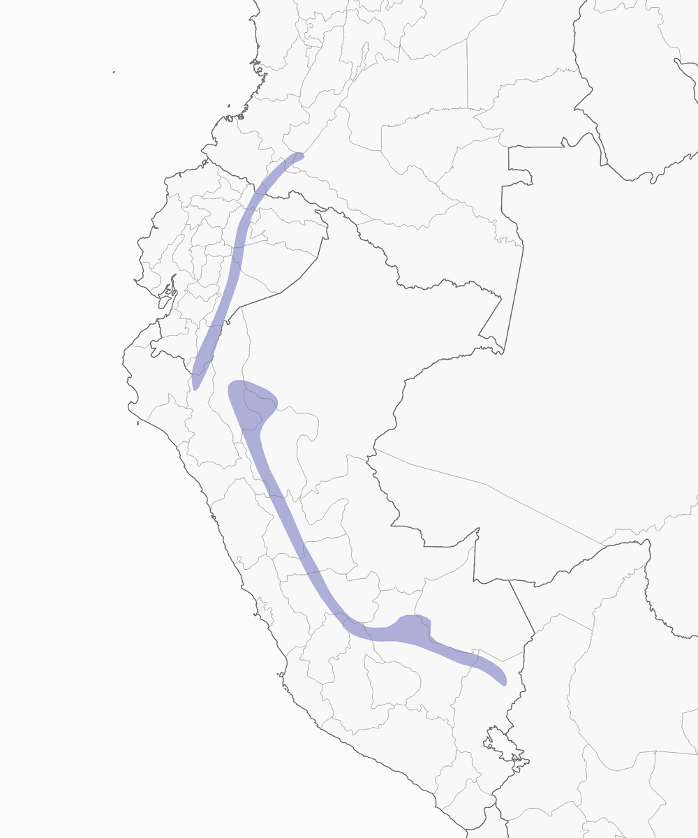 Tangara gola gialla, Distribuzione 1