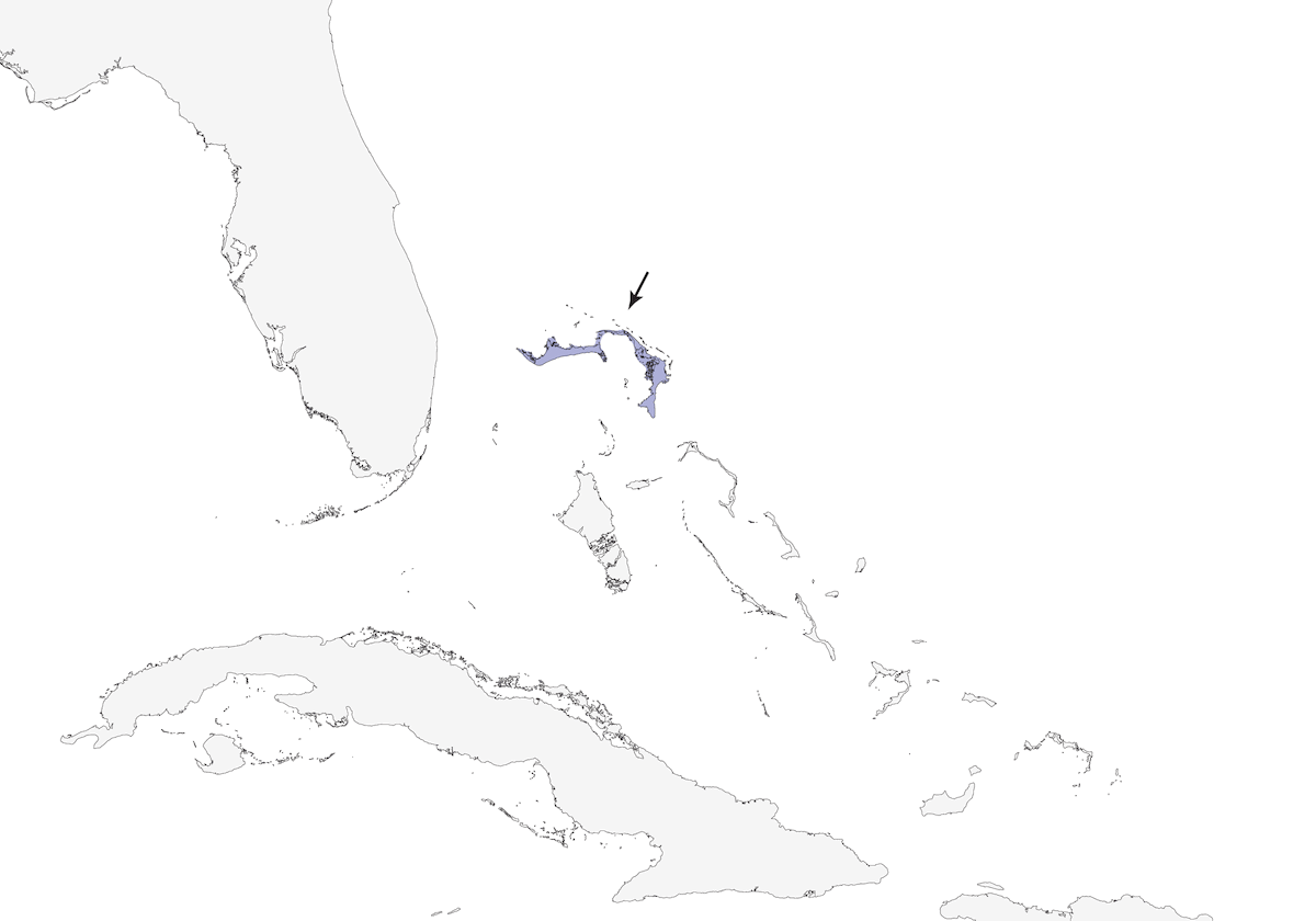 Bahama-Waldsänger, Verbreitung 1