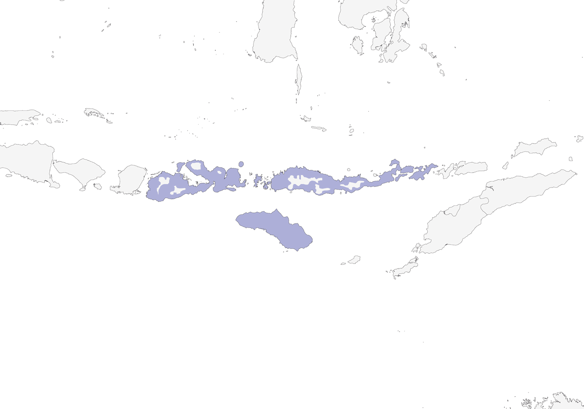 Heleia dagli occhiali gialli, Distribuzione 1