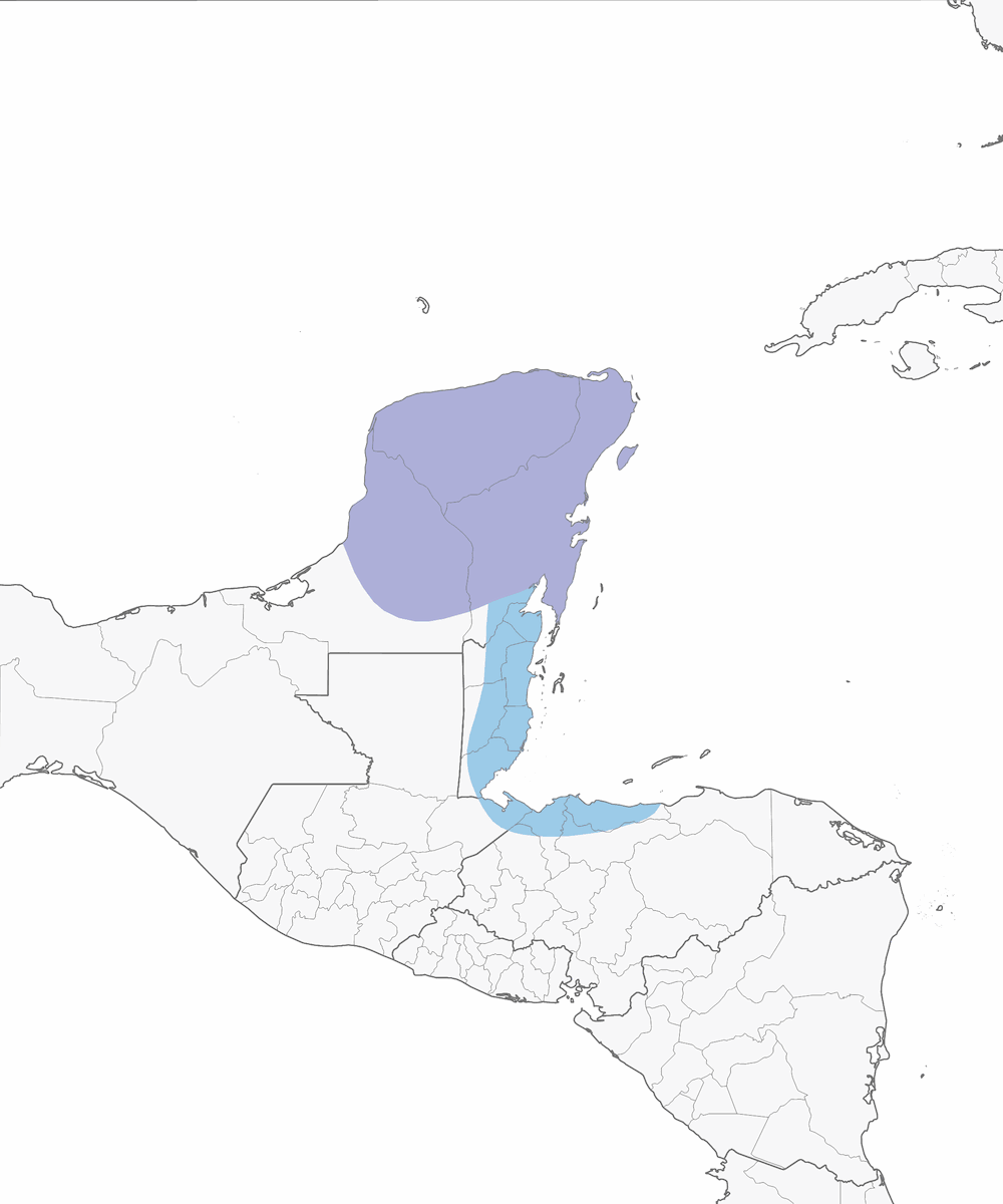 Yucatan Nightjar, Distribution 1