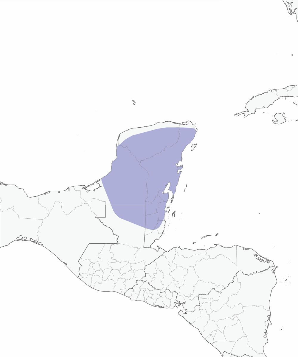 Yucatán-Nachtschwalbe, Verbreitung 1