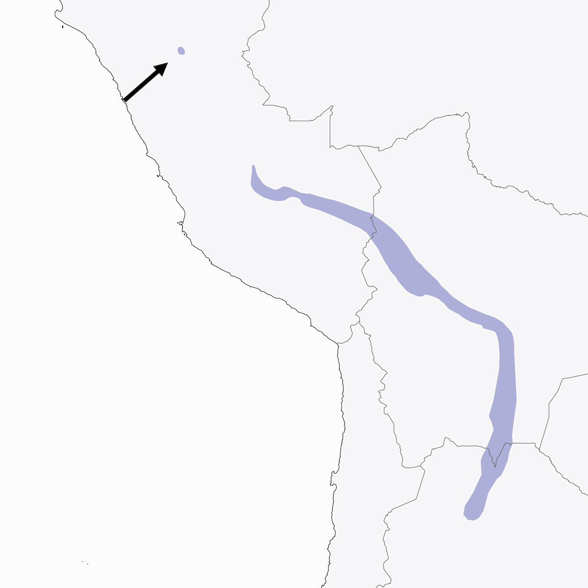 Saltarín boliviano, Distribución 1