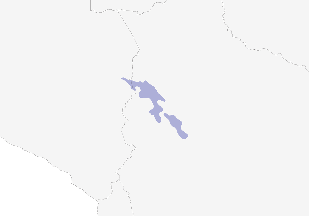 Tirannetto delle Yungas, Distribuzione 1