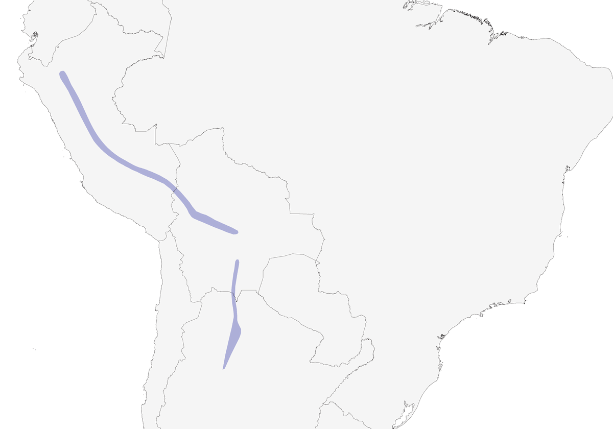 Yungas Pygmy-Owl, Distribution 1
