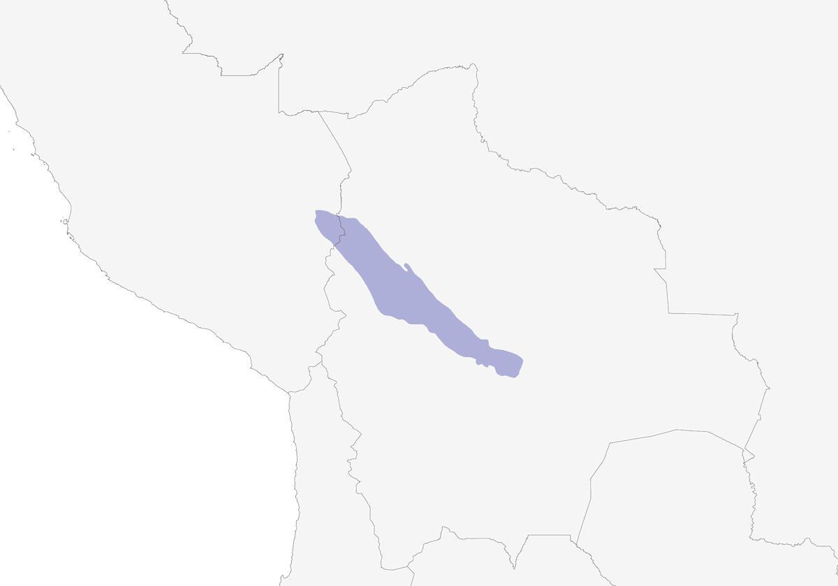 Yungas Tody-Tyrant, Distribution 1