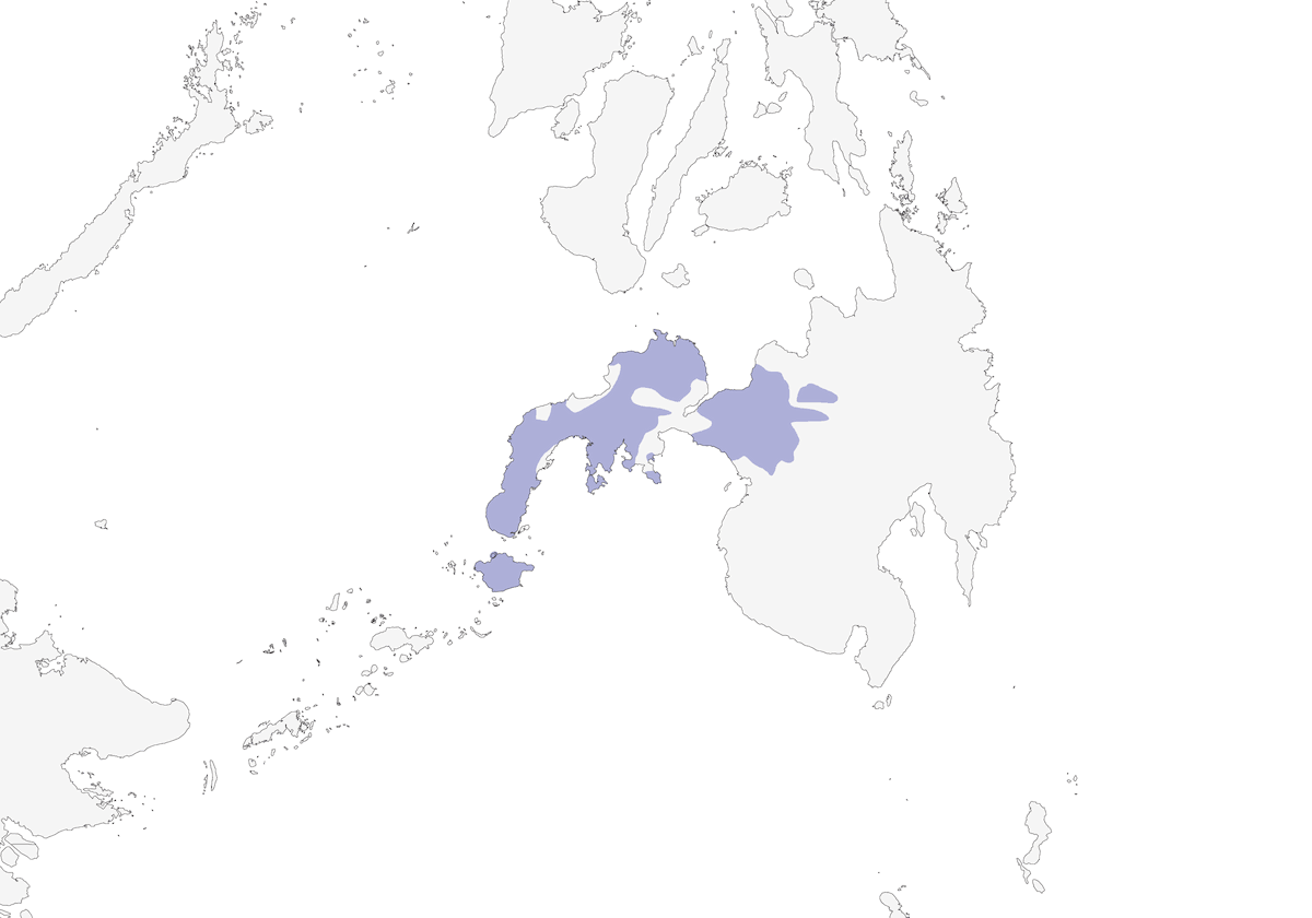 Bulbul de Zamboanga, Distribución 1