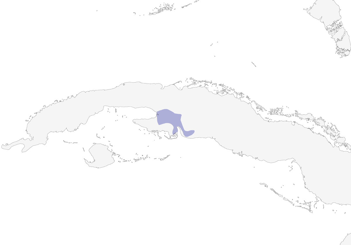 Zapata Wren, Distribution 1
