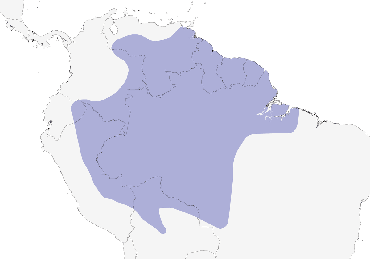 Garza Zigzag, Distribución 1